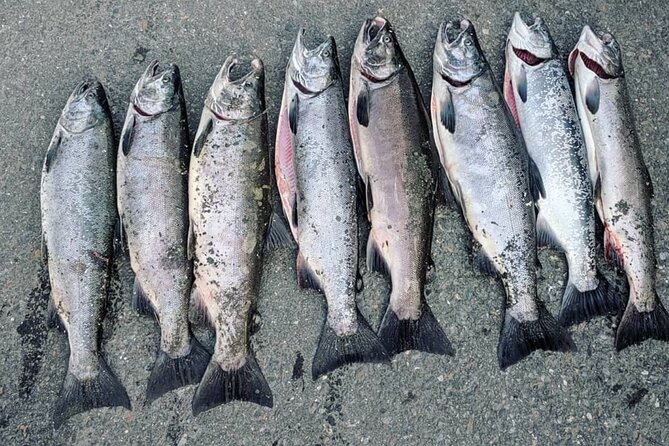 Juneau Shore Fishing Shuttle and Gear - The Scenery and Spots: Diverse and Scenic Locations
