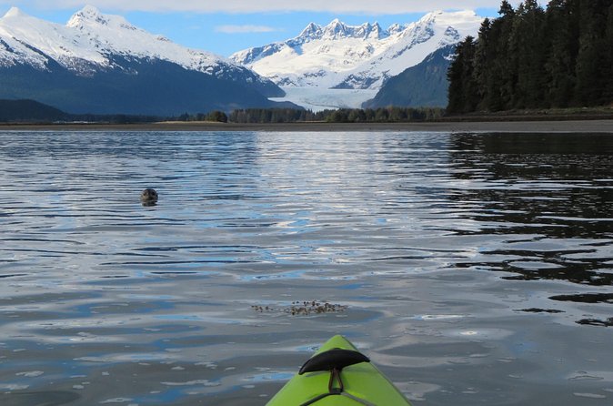 Juneau Small Group Sea Kayaking with Mendenhall Glacier Views - Wildlife and Glacier Vistas from the Estuarial Region