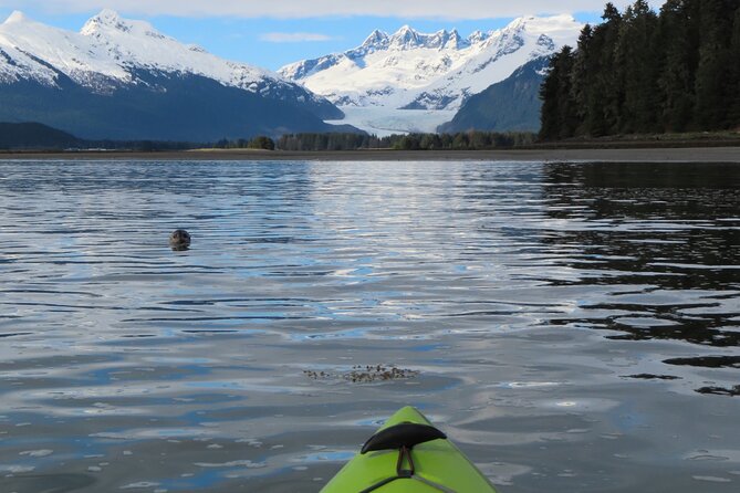 Juneau Small Group Sea Kayaking with Mendenhall Glacier Views - Safety, Instruction, and Accessibility