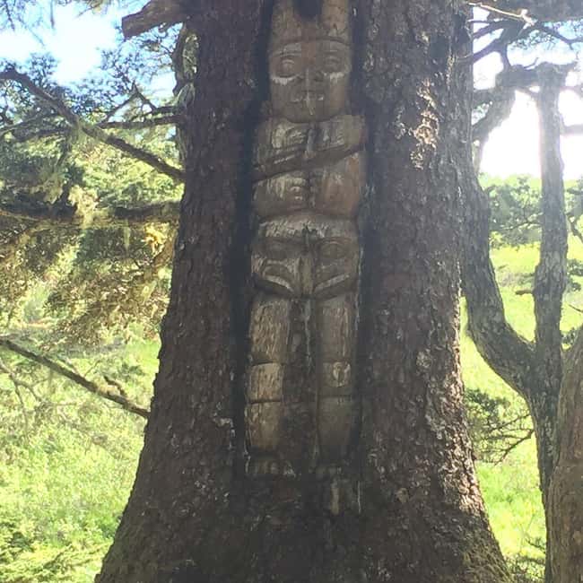 Juneau: Taste of Alaska Tour - Scenic Stroll on the Totem Loop Trail