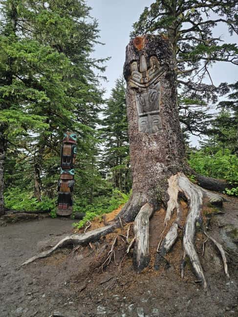 Juneau: Tram, Trails and Ale Tour - The Mountaintop Beer Garden Experience