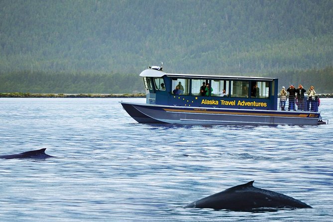 Juneau Whale Watching Adventure - Practical Details: Meeting Point and Weather Considerations