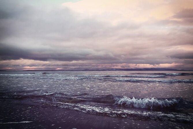 Juneau Wildlife Whale Watching - Expert Guides and Naturalist Commentary