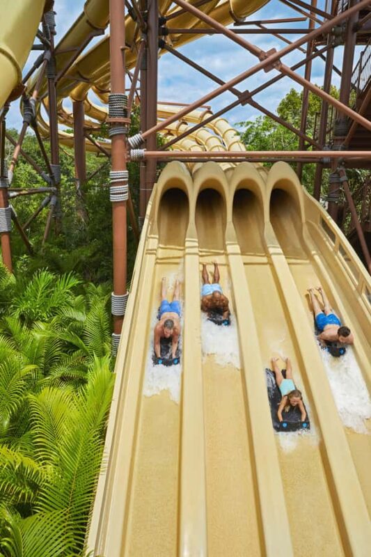 Jungala Aqua Experience: The Full Experience - What Sets Jungala Apart from Other Water Parks