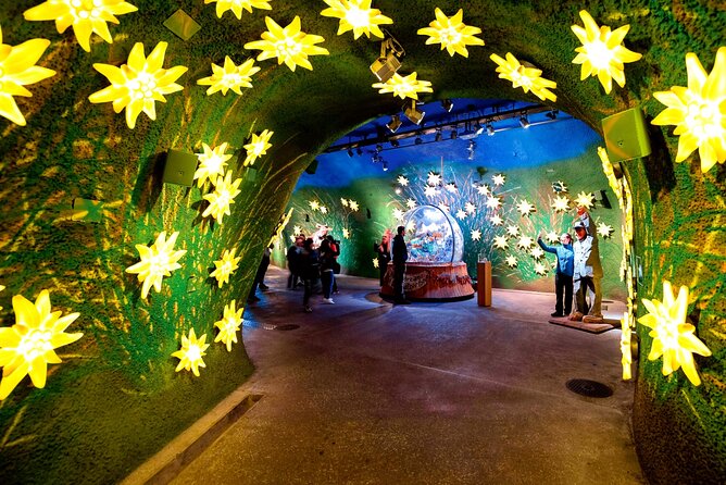 Jungfrau, Top of Europe & Interlaken Small group from Zurich - Walking into the Heart of the Glacier and the Ice Palace