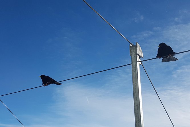 Jungfraujoch Top of Europe Private Day Trip from Interlaken - Sampling Swiss Chocolate at Lindt Shop