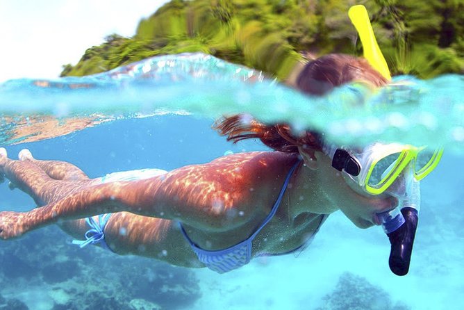 Jungle Adventure Tour in Cancun by Speedboat with Snorkeling - Meeting Point and Logistics at Marina Chac Chi