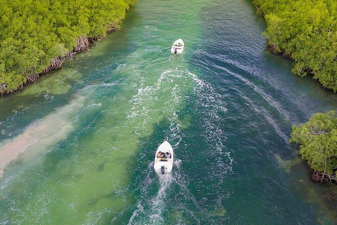 Jungle Adventure Tour! Speed boat and Snorkeling (Single) - Navigating the Lagoon: The 30-Minute Boat Ride
