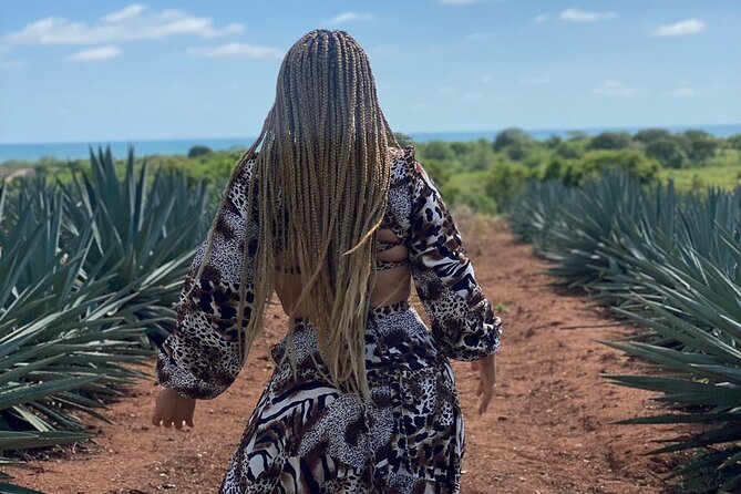 Jungle and beach ATV tour + lunch + tequila tasting - Riding Along the Secluded Beach