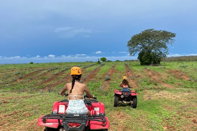 Jungle and beach ATV tour + lunch + tequila tasting - Pacing and Tour Length