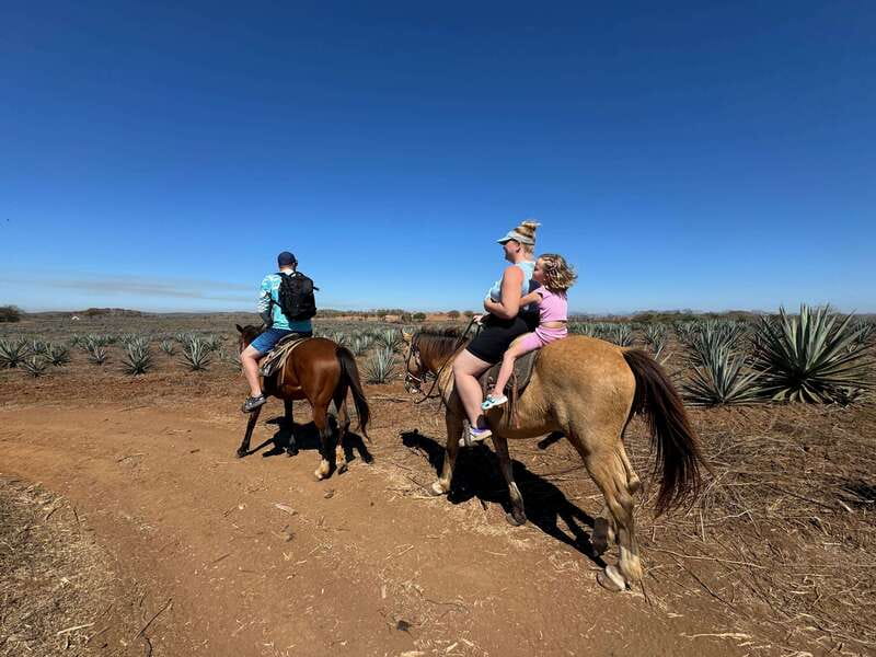 Jungle and beach horseback ride + lunch + mezcal - Key Points