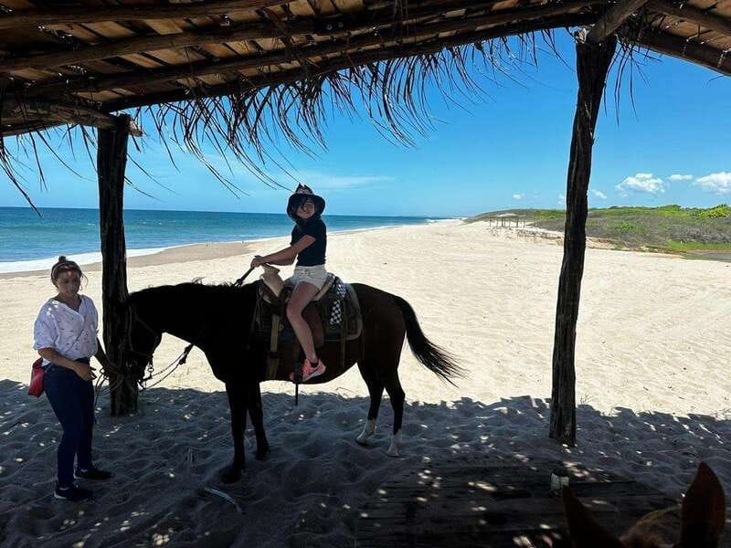 Jungle and beach horseback ride + lunch + mezcal - Convenient Logistics and Transportation