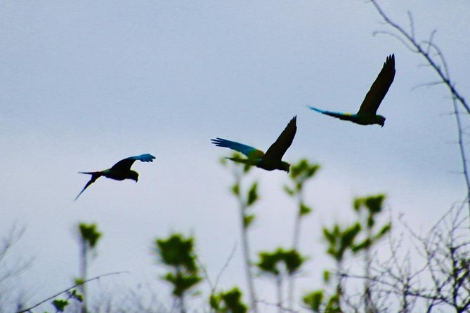 Jungle Bike Tour - The Guide and Transportation Experience