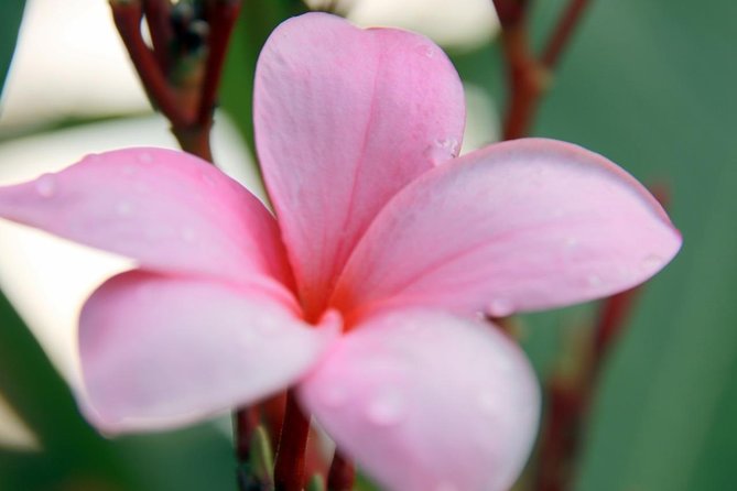 Jungle Bike Tour - What You Need to Bring and What’s Included