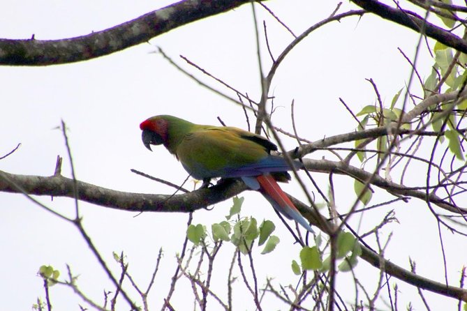 Jungle Bike Tour - Flexibility and Cancellation Policies