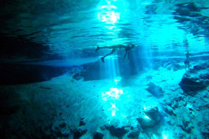 Jungle Bike Tour from Playa del Carmen with Bath in a Cenote - The Return Journey and Post-Adventure Recommendations