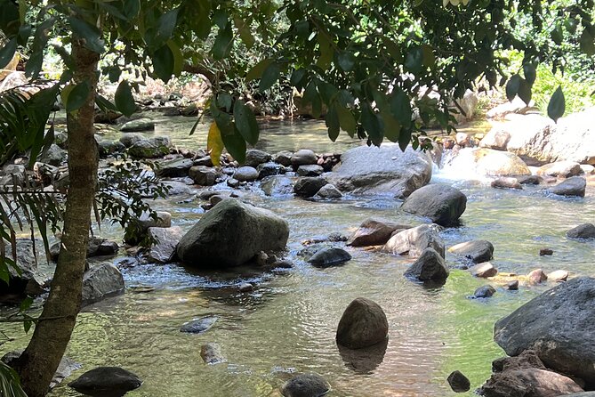 Jungle Cascade Adventure - Key Points