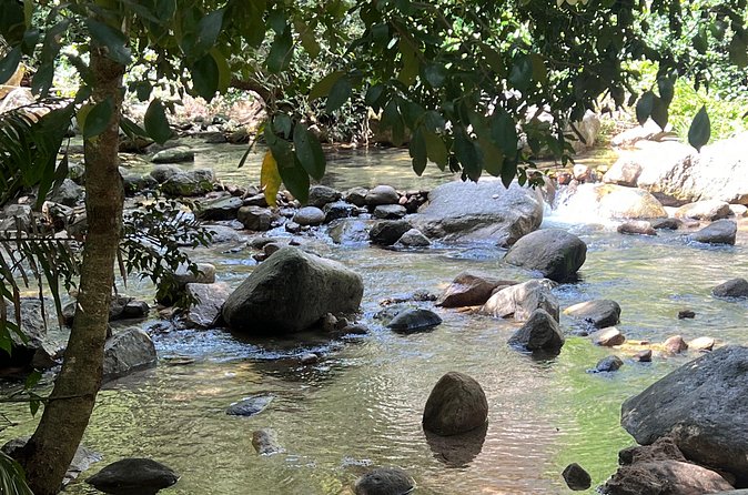 Jungle Cascade Adventure - Climbing to the Viewpoint for Puerto Vallarta’s Panorama