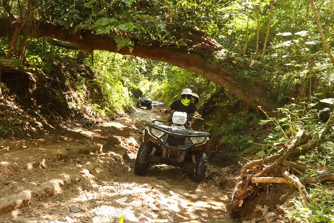 Jungle double ATV Tour "El Mirador" (ride tandem on ATV) - Additional Information and Practical Tips