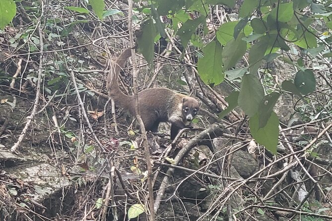 Jungle hike to palo maria Waterfalls - Visiting Palo Maria Waterfalls and Natural Pools