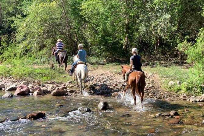 Jungle HorseBack Adventure to Las Palmas Waterfall All Included - What You Get for the Price: Horses, Lunch, and More