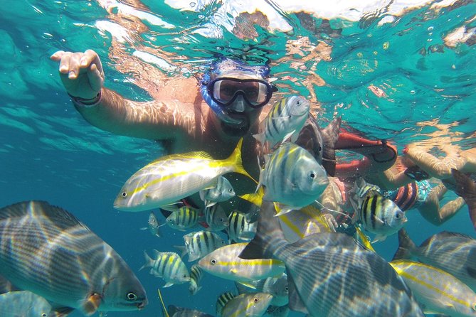 Jungle Tour - Snorkeling in Cancun’s Lagoon Waters