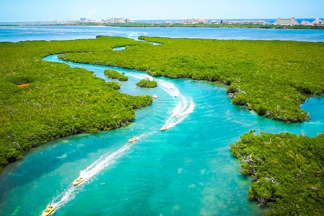Jungle Tour with Snorkel in Cancun - Speedboat Excursions through the Nichupte Lagoon’s Mangroves