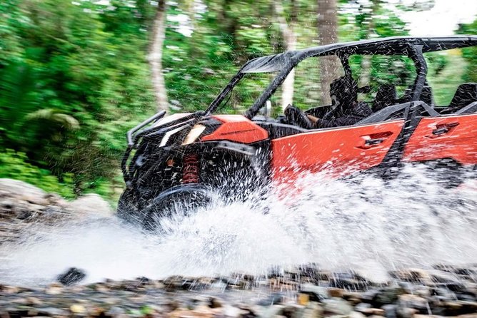 Jungle Viking/RZR Tour For 2 passangers in Eden & Coast Adventure - Who Will Enjoy This Tour?