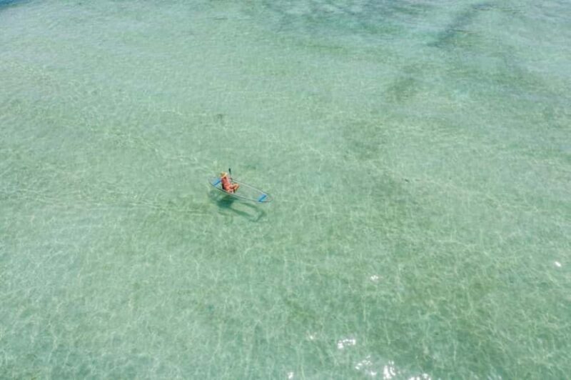 Jupiter Clear Kayak Guided Tour - Key Points