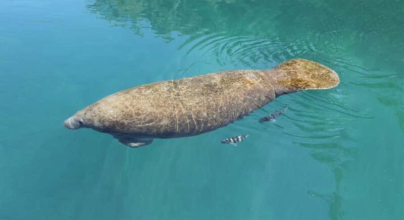 Jupiter: Narrated History & Celebrity Boat Tour - Practical Tips for Making the Most of the Tour