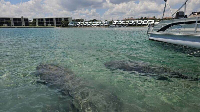 Jupiter: Private Sightseeing Boat Tour With Wildlife - Key Points