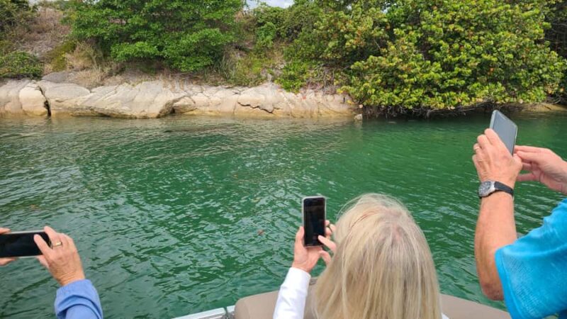 Jupiter: Private Sightseeing Boat Tour With Wildlife - Comparing Similar Experiences in Jupiter