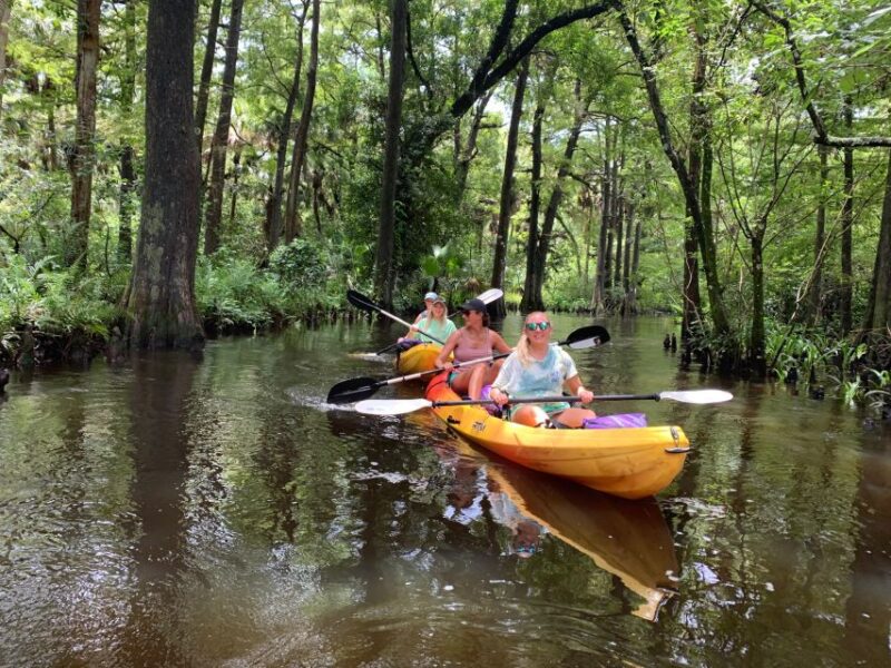 Jupiter: Wild and Scenic Loxahatchee River Kayak Tour - Key Points