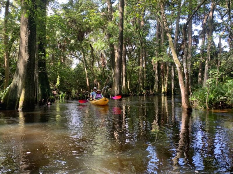 Jupiter: Wild and Scenic Loxahatchee River Kayak Tour - Navigating the Scenic Upper Loxahatchee