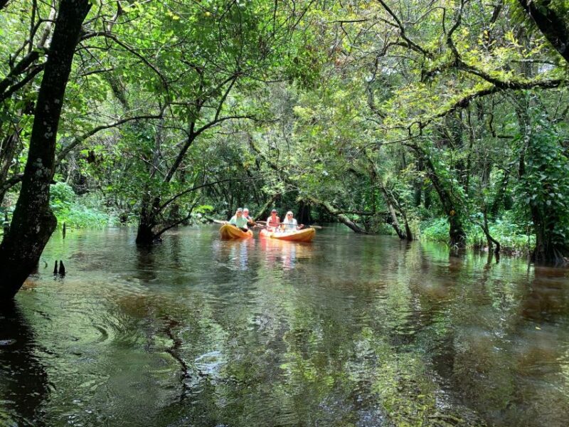 Jupiter: Wild and Scenic Loxahatchee River Kayak Tour - Meeting Point and Accessibility