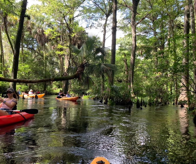 Jupiter: Wild and Scenic Loxahatchee River Kayak Tour - What Sets This Tour Apart from Others
