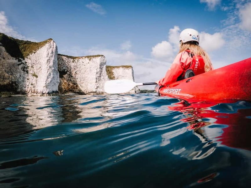 Jurassic Coast Kayaking Tour to Old Harry Rocks - The Sum Up: A Family-Friendly, Wildlife-Focused Coastal Kayak Experience