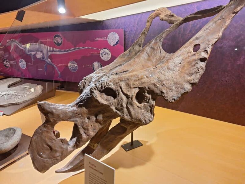 Jurassic Museum of Asturias Guided Tour from Oviedo - The Journey to La Griega Beach and Its Dinosaur Footprints
