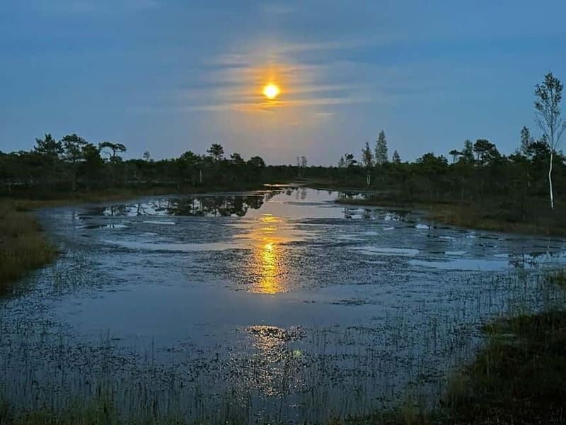 Jurmala: Kemeri National Park Sunset Trip - Exploring Kemeri National Park’s Great Bog Walk