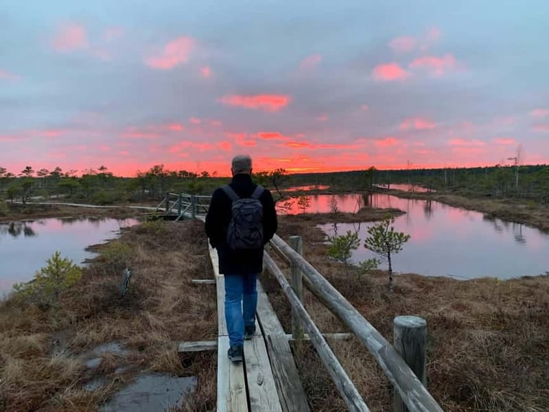 Jurmala: Kemeri National Park Sunset Trip - Viewing the Sunset in Kemeri Great Bog