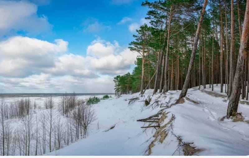 Jurmala,Kuldiga, Ragaciems beach, Kemeri N Park,Food & drink - Ragaciems Beach: White Sands and Forest Backdrop