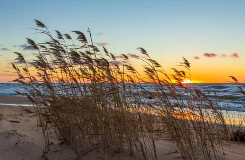 Jurmala,Kuldiga, Ragaciems beach, Kemeri N Park,Food & drink - Why This Tour Stands Out