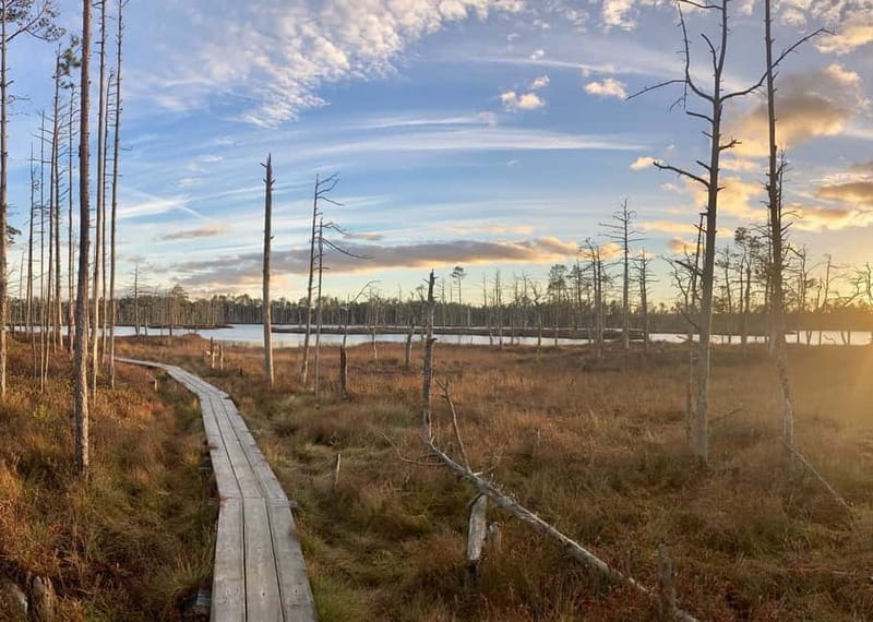 Jurmala,Kuldiga,Ragaciems Beach, Kemeri N park, Food & Drink - Authentic Latvian Experiences and Local Cuisine