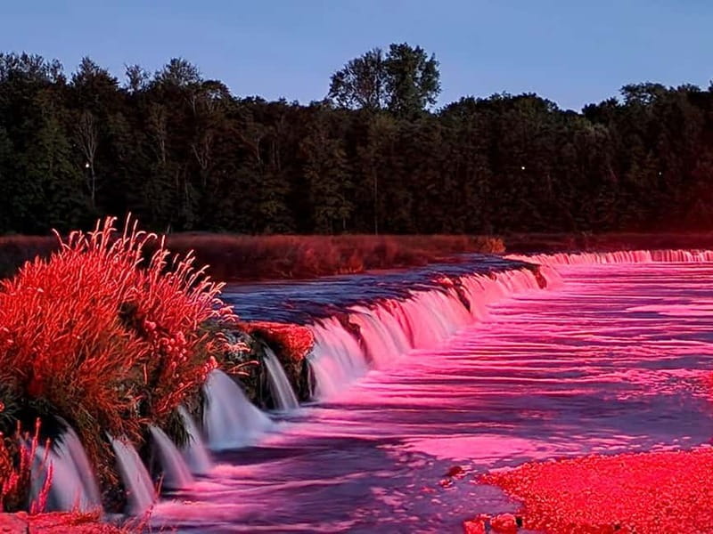 Jurmala,Kuldiga,Ragaciems Beach, Kemeri N park, Food & Drink - Why This Tour Offers Great Value for Latvia Exploration