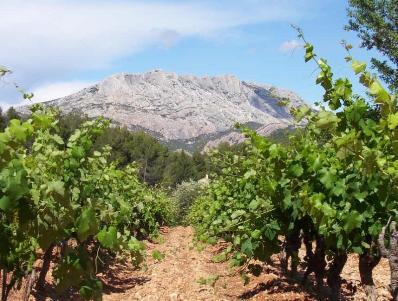 Just outside Aix-en-Provence: Cellar tour and tasting - Explore the Heart of Provence Winemaking
