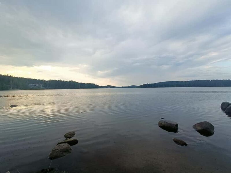 Jyväskylä: Guided Forest Walk or Hike with Campfire - Forest Walks in Jyväskylä: The Starting Point and Trail Features