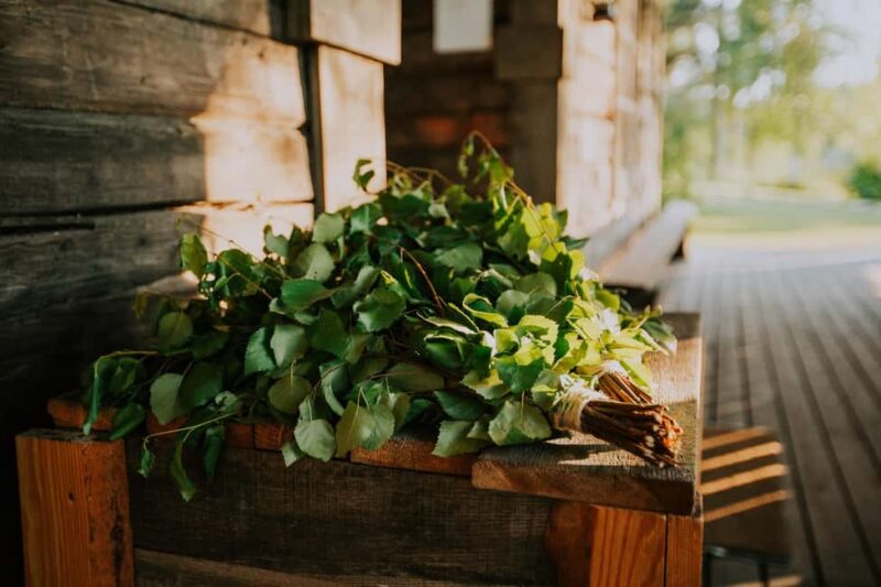 Jyvaskyla: Sauna Hopping at Revontuli's Sauna World - Key Points