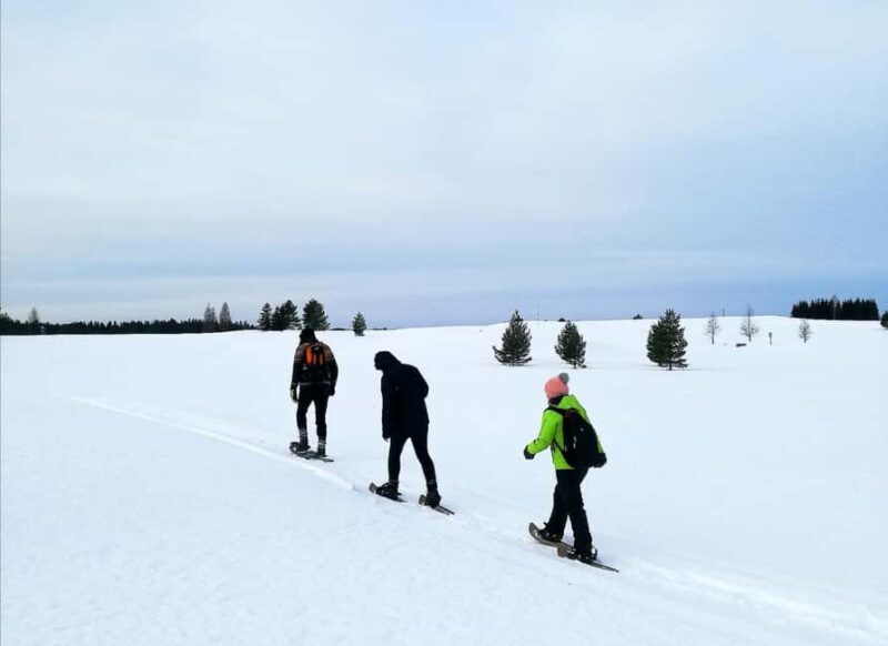 Jyvaskyla: Snowshoeing Tour with Campfire Snack - Key Points