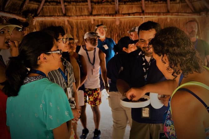 Kaan Luum & Cenotes Mayan Traditions - Comfortable Transportation and Included Amenities