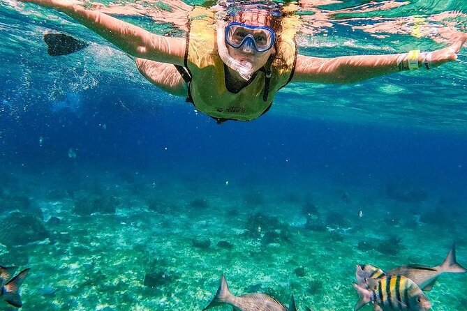 Kaan Luum Lagoon and Cenote Snorkel Tour in Tulum - Key Points